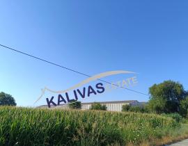 ΠΩΛΕΙΤΑΙ Αγροτεμάχιο, 54375τ.μ. Μεγάλη Χώρα, Νεάπολη (Αιτωλοακαρνανία) Αφών Παπαστράτου, Μεγάλη Χώρα 30150 €275.000