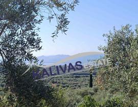ΠΩΛΕΙΤΑΙ Αγροτεμάχιο, 4000τ.μ. Καμαρούλα, Αγρίνιο (Αιτωλοακαρνανία) Κοκκινοπυλιά, €160.000