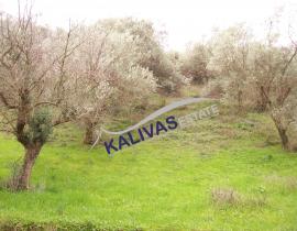 Πώληση, Αγροτεμάχιο 2000 τ.μ., Κοκκινοπύλια, Αγρίνιο, € 70.000